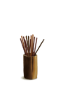 2025 ȥ